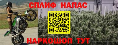амфетамин Гай