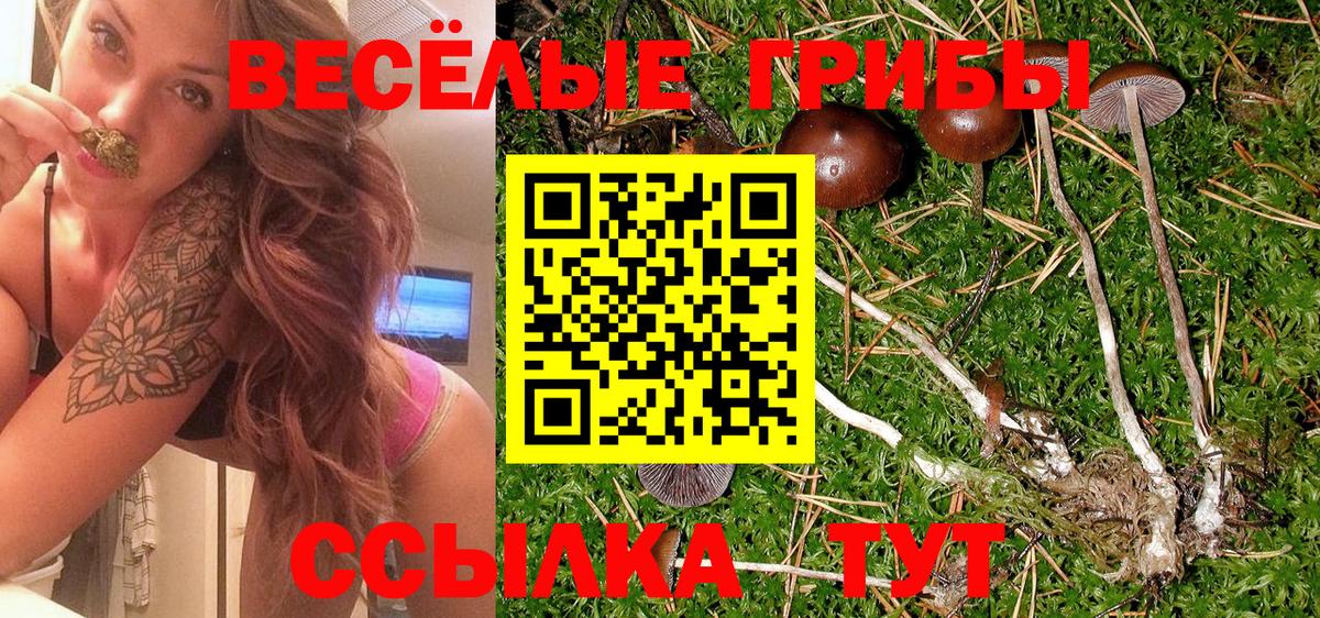 Гатчина  Псилоцибиновые грибы GOLDEN TEACHER  магазин    Вход с VPN 