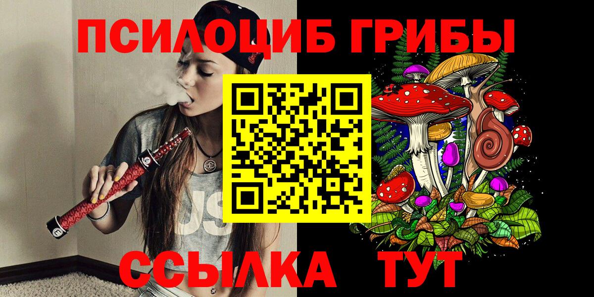 Псилоцибиновые грибы ЛСД Гатчина
